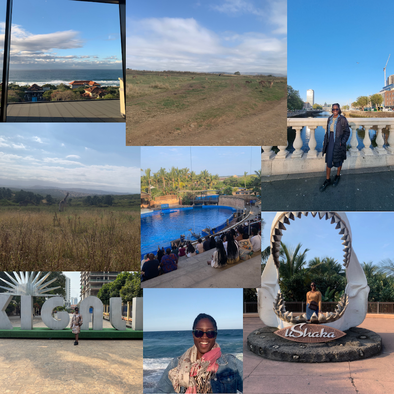 Collage of Eunice's recent travels
