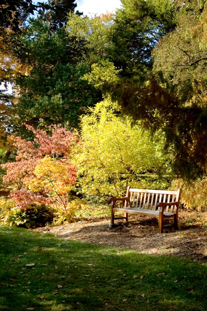 The Beal Garden