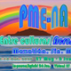 MSU Presenting Virtually at PME-NA